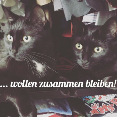Luna und Kiki