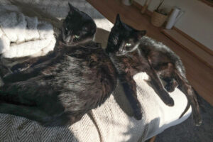 Polly Und Emi 1