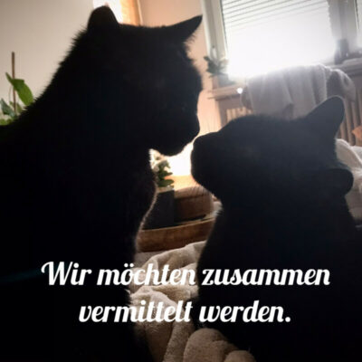 Polly und Emi