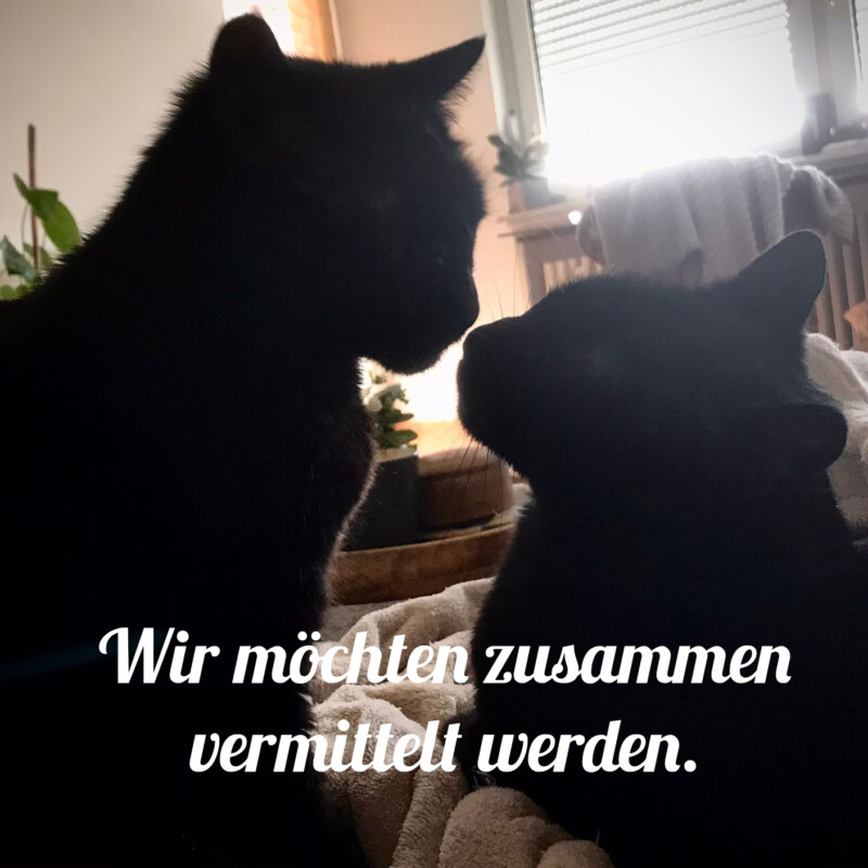 Polly und Emi