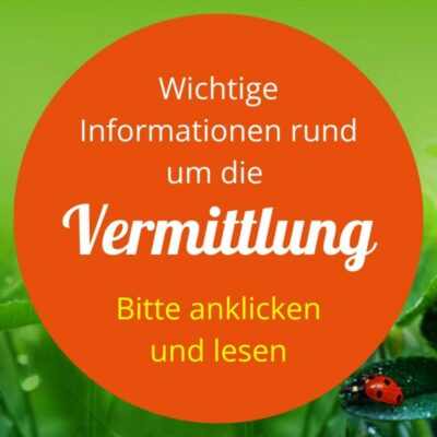 Wichtige Info zur Vermittlung