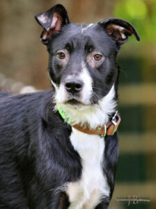 TH Franken TH Franken