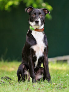 TH Franken TH Franken