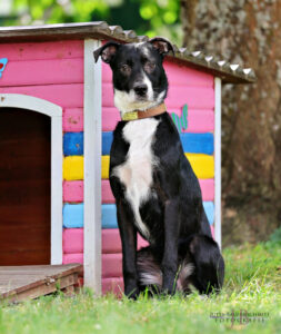 TH Franken TH Franken