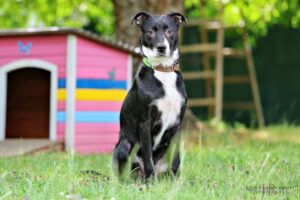 TH Franken TH Franken