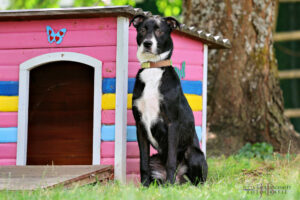 TH Franken TH Franken