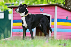 TH Franken TH Franken