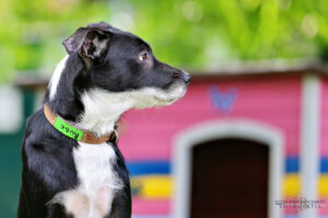 TH Franken TH Franken