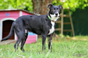 TH Franken TH Franken