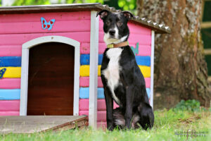 TH Franken TH Franken