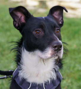 Rübe Neu 1 Rübe Neu 1