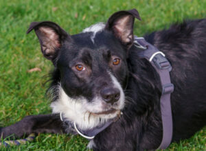 Rübe Neu 11 Rübe Neu 11