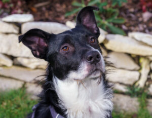 Rübe Neu 12 Rübe Neu 12