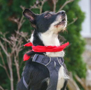 Rübe Neu 13 Rübe Neu 13