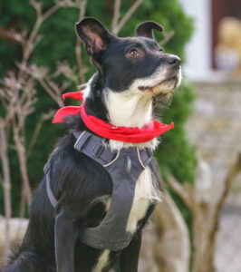 Rübe Neu 14 Rübe Neu 14