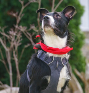 Rübe Neu 16 Rübe Neu 16