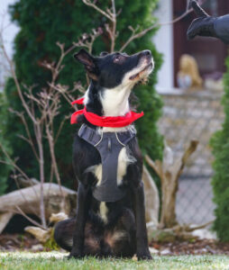 Rübe Neu 18 Rübe Neu 18