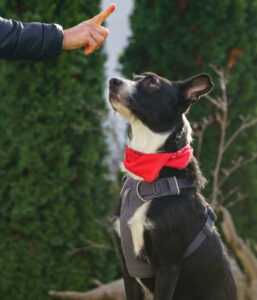 Rübe Neu 19 Rübe Neu 19