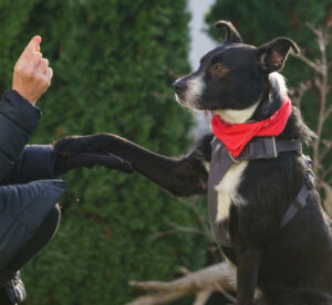 Rübe Neu 20 Rübe Neu 20