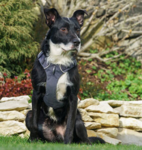 Rübe Neu 21 Rübe Neu 21