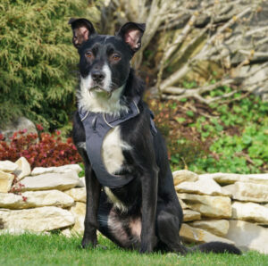 Rübe Neu 22 Rübe Neu 22