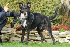 Rübe Neu 23 Rübe Neu 23