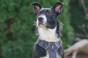 Rübe Neu 24 Rübe Neu 24