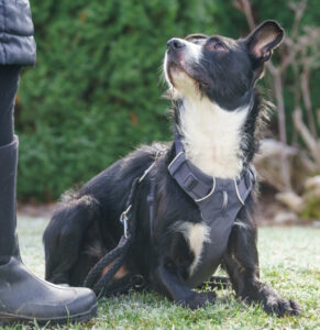 Rübe Neu 28 Rübe Neu 28