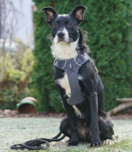 Rübe Neu 3 Rübe Neu 3