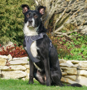 Rübe Neu 4 Rübe Neu 4