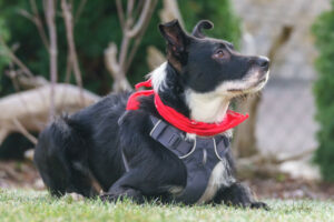 Rübe Neu 5 Rübe Neu 5