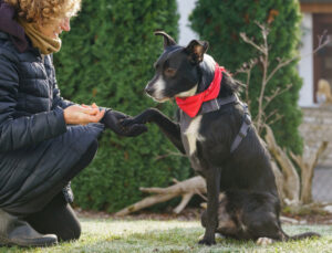 Rübe Neu 6 Rübe Neu 6