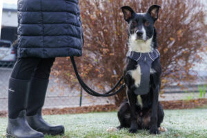 Rübe Neu 7 Rübe Neu 7