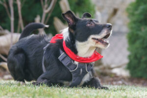 Rübe Neu 9 Rübe Neu 9