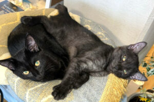 Anna Und Tom 1
