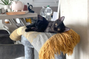 Anna Und Tom 10