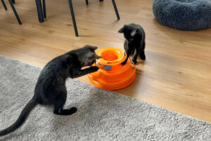 Anna Und Tom 11
