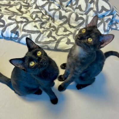 Anna und Tom – uns gibt’s nur gemeinsam!