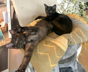 Anna Und Tom 4