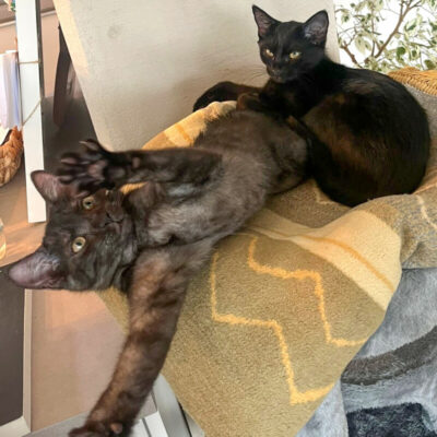 Anna und Tom – uns gibt’s nur gemeinsam!