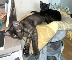 Anna Und Tom 7