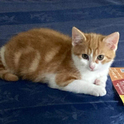 Fred