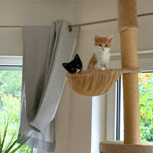 Ron 12 Und Fred