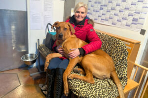 Cadillac 45 Cadillac 45