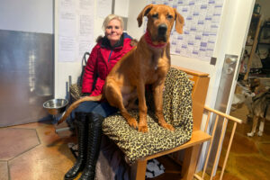 Cadillac 46 Cadillac 46