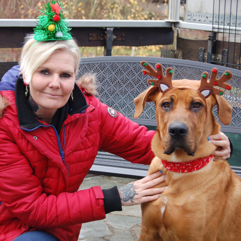 Cadillac 47A Cadillac 47A