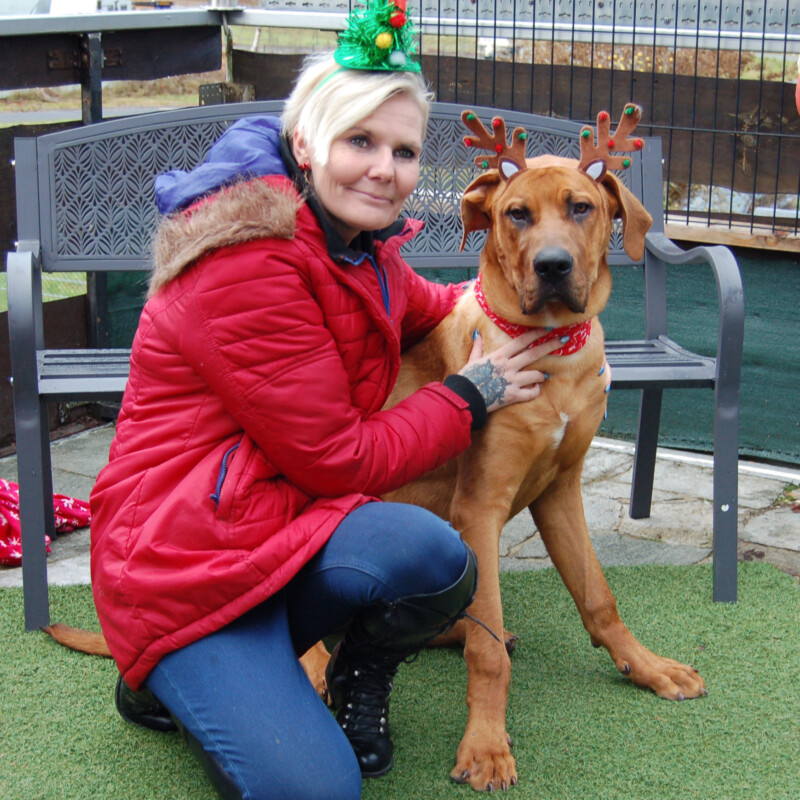 Cadillac 48A Cadillac 48A