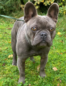 French Oskar 7 French Oskar 7