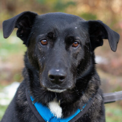 Onyx – Update 13.12.2025