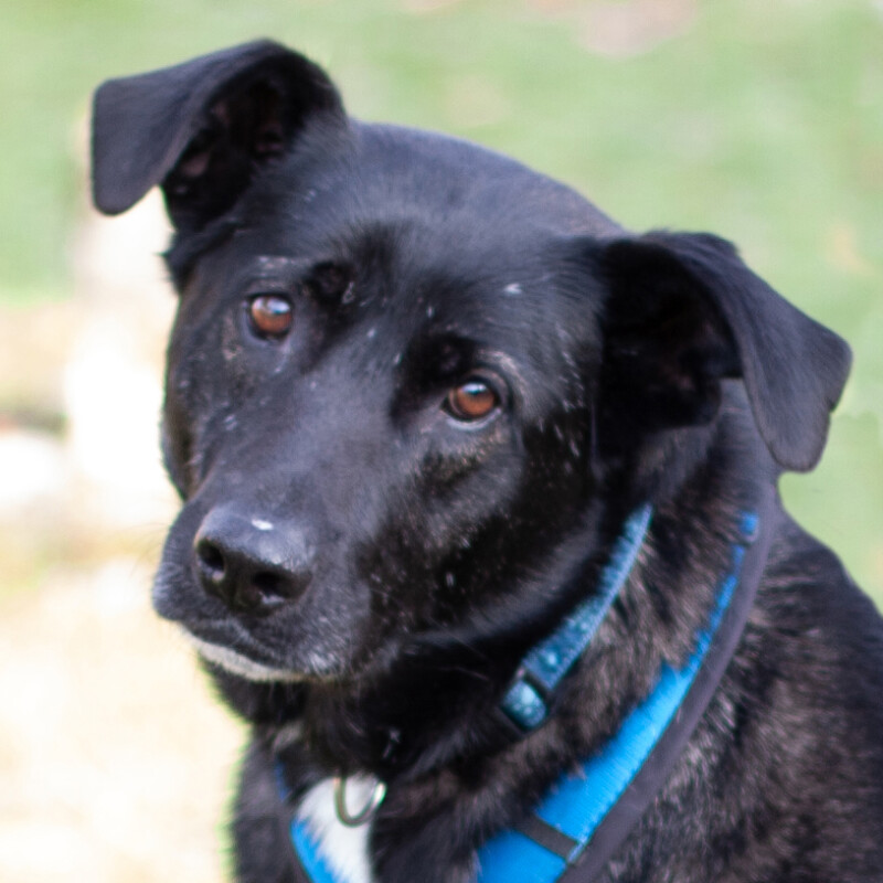 Onyx – Update 13.12.2025